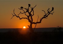 Jihoafricka_Mpumalanga_Krugerův národní park