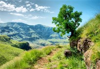 Jihoafricka_Mpumalanga_Krugerův národní park