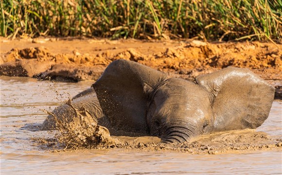 Marco Polo - Addo Elephants - jihoafrický safari park - informace