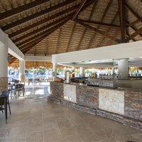 Viva Wyndham Dominicus Palace 4* - ckmarcopolo.cz