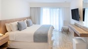 Viva Wyndham Dominicus Palace 4*