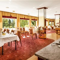 Johannesbad Hotel Palace (W) - ckmarcopolo.cz