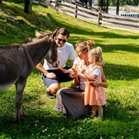 Hotel Almwelt Austria (S) - ckmarcopolo.cz