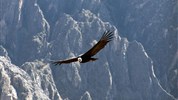 Peru - po stopách Inků s českým průvodcem