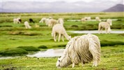 Peru - po stopách Inků s českým průvodcem