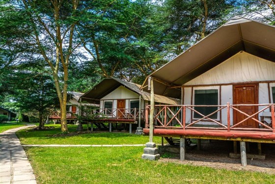 Marco Polo - Lake Naivasha Crescent Camp - 