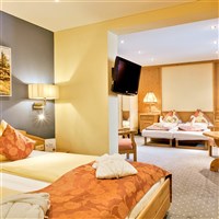 Familienhotel Filzmooserhof S22 - ckmarcopolo.cz