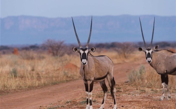 Marco Polo - Přehled safari parků v Namibii