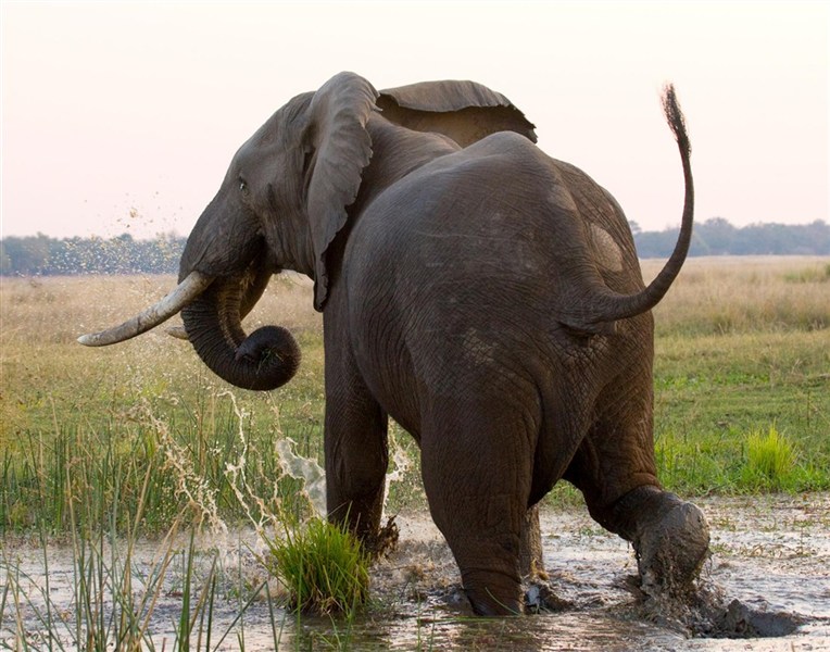 Expedice jižní Afrikou - Jihoafrická republika, Namibie, Botswana a Zimbabwe - Zimbabwe_Viktoriiny vodopády