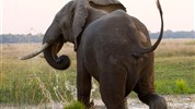 Velký okruh Jihoafrickou republikou a Viktoriiny vodopády a Botswana