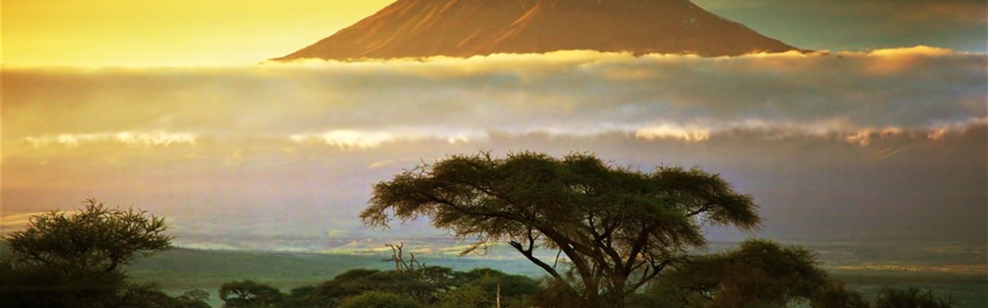 Ve stínu Kilimanjara - Dovolená na safari v Keni a pobyt u moře - 4 noci safari a 6 nocí u moře.Český průvodce. - 