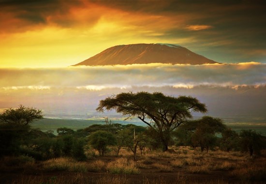 Ve stínu Kilimanjara - Dovolená na safari v Keni a pobyt u moře - 4 noci safari a 6 nocí u moře.Český průvodce. - Keňa
