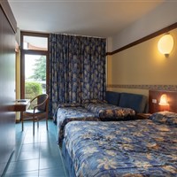 Hotel Palme & Suite & Royal - ckmarcopolo.cz