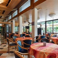 Hotel Palme & Suite & Royal - ckmarcopolo.cz