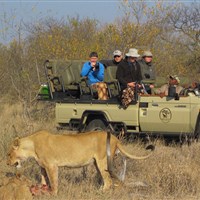 Mohlabetsi Safari Lodge - Jihoafrická republika_Safari_Mohlabets - ckmarcopolo.cz