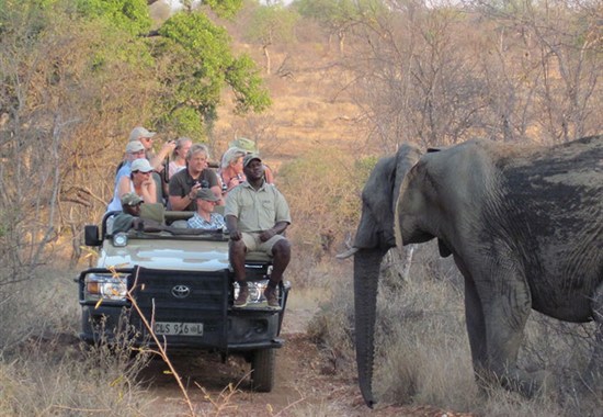 Náklaďákem na safari do Krugerova národního parku -  - Jihoafrická republika_Safari_Mohlabetsi_