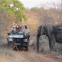 Mohlabetsi Safari Lodge - ckmarcopolo.cz