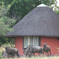 Mohlabetsi Safari Lodge - ckmarcopolo.cz