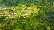 Madeira s českým průvodcem