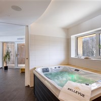 Spa Hotel Bellevue Harrachov - ckmarcopolo.cz