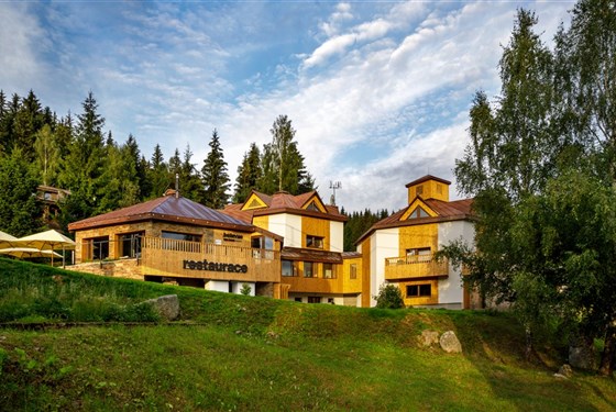 Marco Polo - Spa Hotel Bellevue Harrachov - 