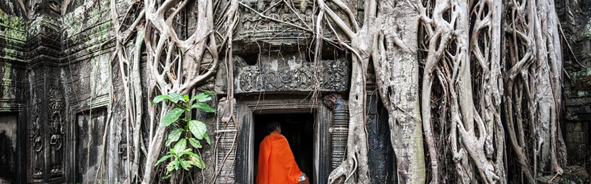 Poznávací okruh Kambodžou + centrální a severní Thajsko s Honzou Papežem - Kambodža_angkor_ta prohm