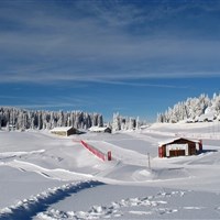 Alpine Smart Residence - ckmarcopolo.cz