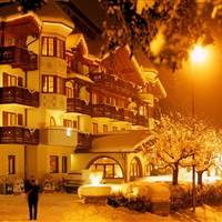 Hotel Du Lac Vital Mountain - ckmarcopolo.cz