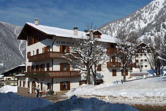 Marco Polo - Hotel Stella Alpina - 