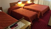 Hotel Stella Alpina***