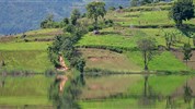Safari v Ugandě - Cesta za gorilami s českým průvodcem