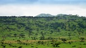 Safari v Ugandě - Cesta za gorilami s českým průvodcem