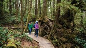 Island a Kanada - za přírodními skvosty dvou kontinentů