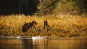 Island a Kanada - za přírodními skvosty dvou kontinentů