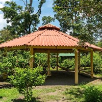 Laguna Lodge Tortuguero - ckmarcopolo.cz