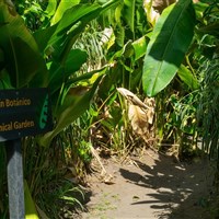 Laguna Lodge Tortuguero - ckmarcopolo.cz