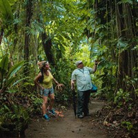 Laguna Lodge Tortuguero - ckmarcopolo.cz