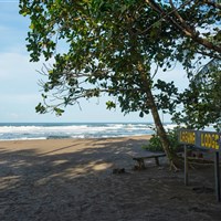 Laguna Lodge Tortuguero - ckmarcopolo.cz