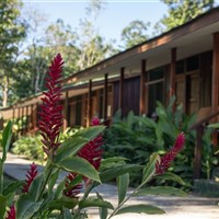 Laguna Lodge Tortuguero - ckmarcopolo.cz