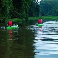 Laguna Lodge Tortuguero - ckmarcopolo.cz