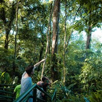 Laguna Lodge Tortuguero - ckmarcopolo.cz