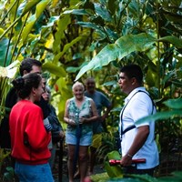 Laguna Lodge Tortuguero - ckmarcopolo.cz