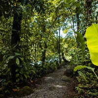 Laguna Lodge Tortuguero - ckmarcopolo.cz