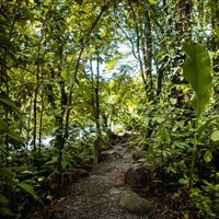 Laguna Lodge Tortuguero - ckmarcopolo.cz