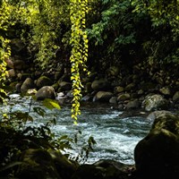 Laguna Lodge Tortuguero - ckmarcopolo.cz