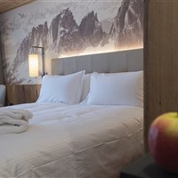 Hotel Ciampedie Luxury Alpine Spa - ckmarcopolo.cz