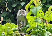 BALI A LOMBOK SPECIÁL NA 21 NOCÍ