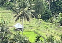 BALI A LOMBOK SPECIÁL NA 21 NOCÍ
