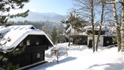 Naturel Dorf SCHÖNLEITN ****