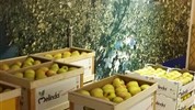 Enogastronomické zážitky v Trentinu